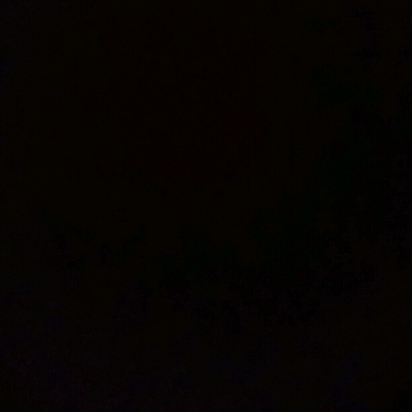 Meet your Posher, Selena - Picture 1 of 1